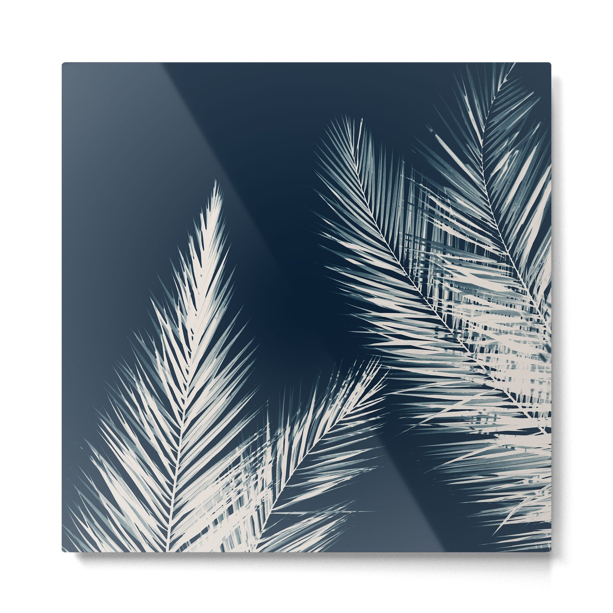 Palm Cyanotype #2 Metal Print Gallery Image 2