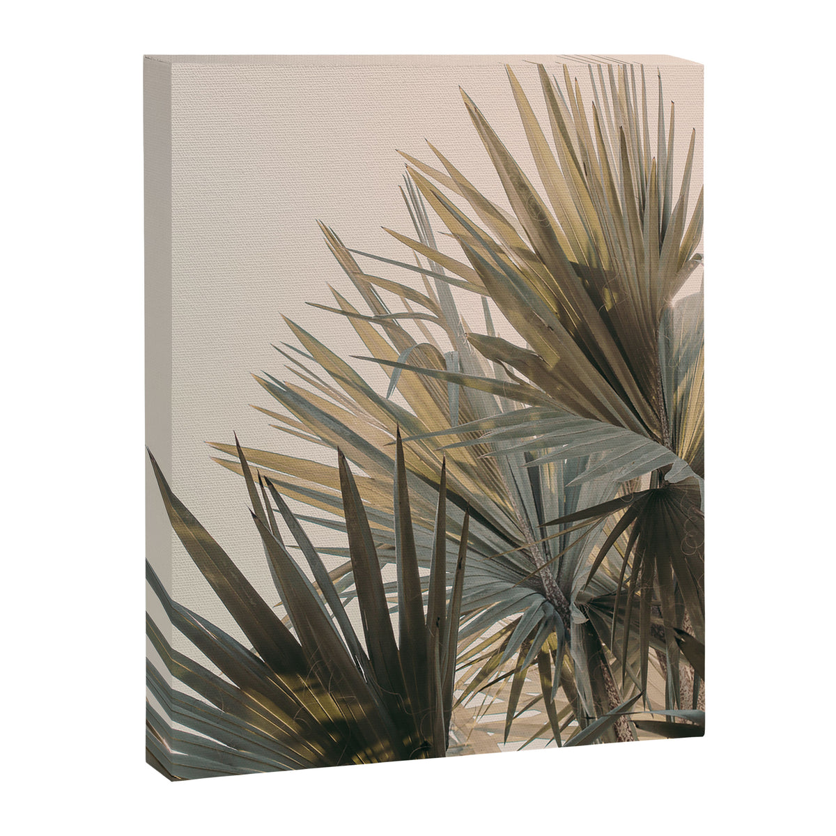 Palm Glow Canvas Print Gallery Image 6