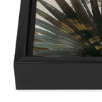 Palm Glow Framed Canvas Print Gallery Image 3