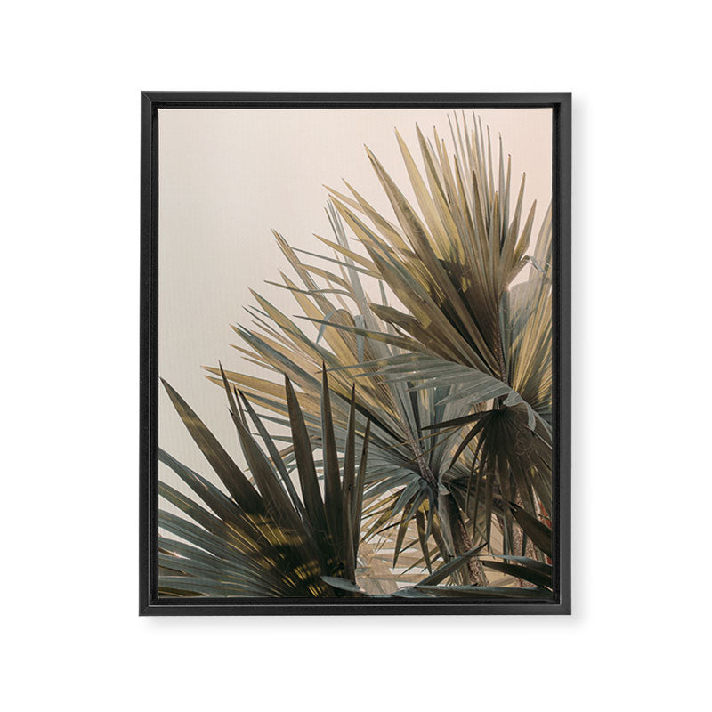 Palm Glow Framed Canvas Print Gallery Image 6