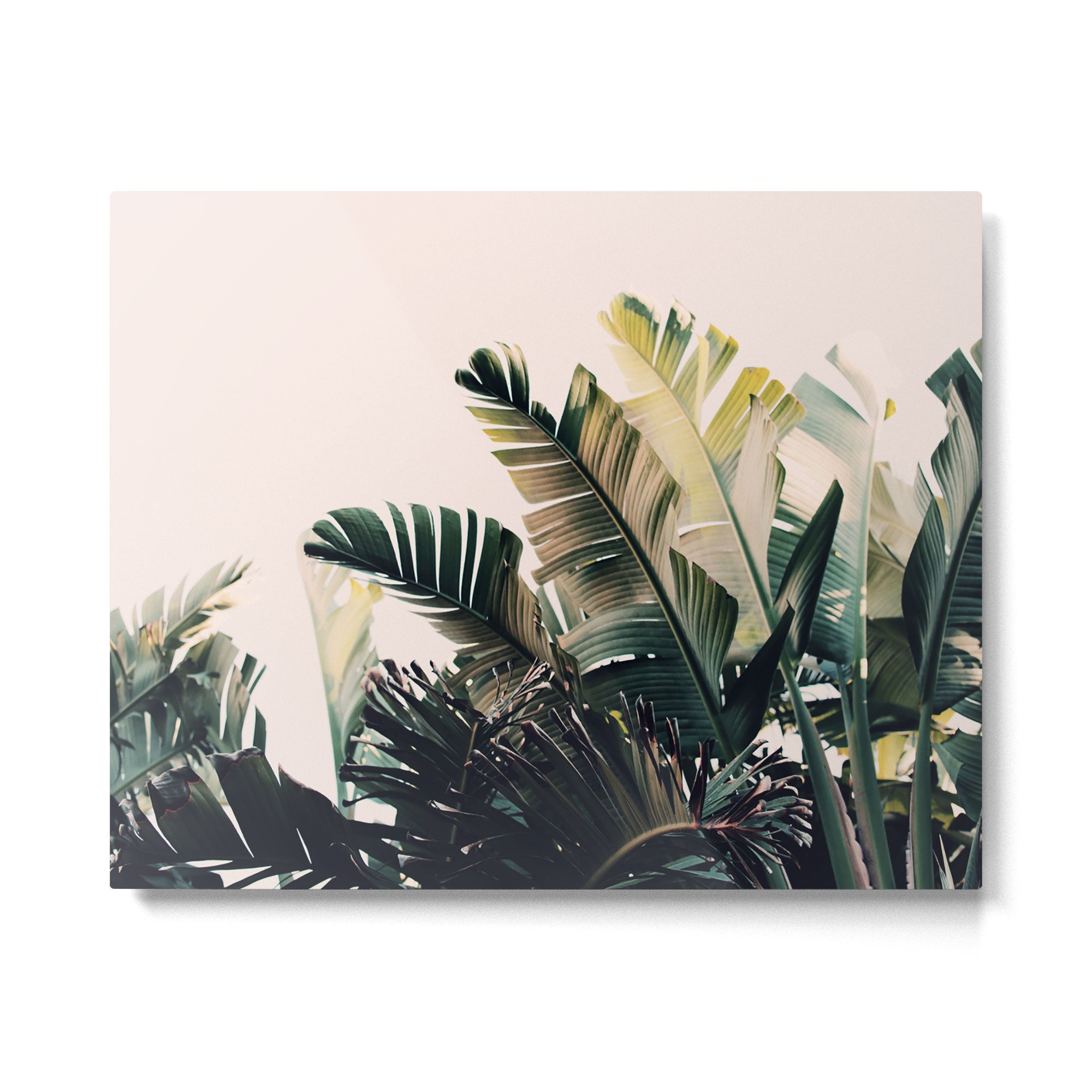 Paradise #4 Metal Print Gallery Image 4