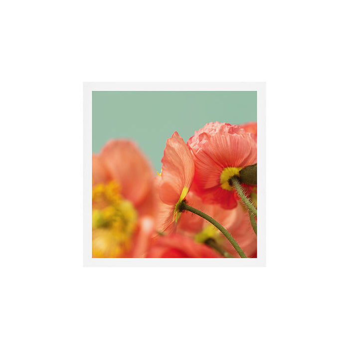 Pastel Poppy # Art Print Gallery Image 1