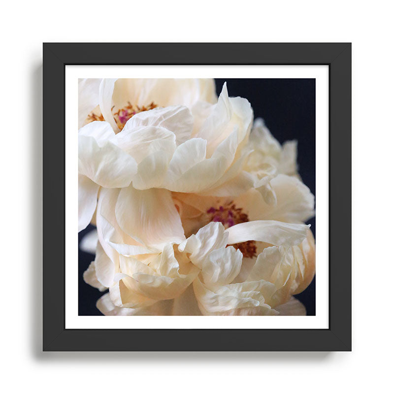 Pearl Framed Art Print Gallery Image 1