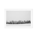 Pine Line Art Print Gallery Image 1