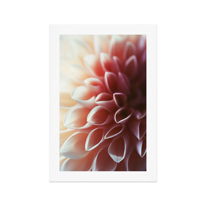 Pink Dahlia #1 Art Print Gallery Image 1