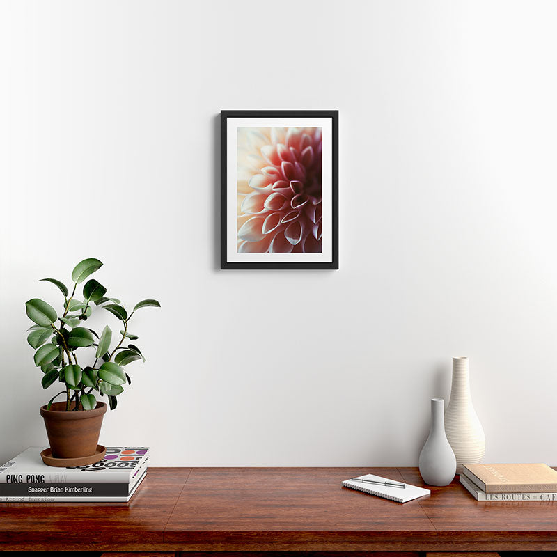 Pink Dahlia #1 Framed Art Print Gallery Image 2