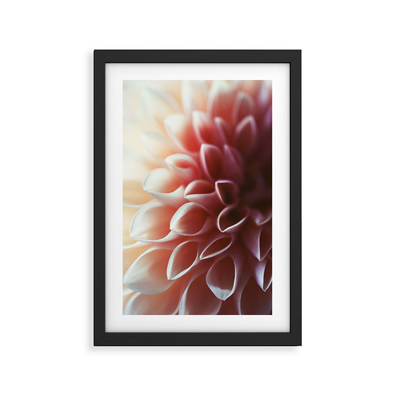 Pink Dahlia #1 Framed Art Print Gallery Image 2