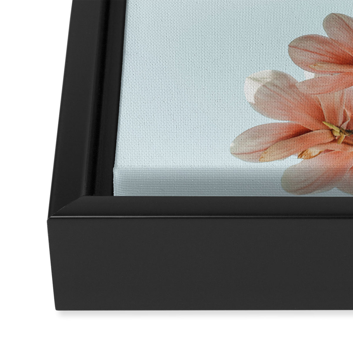Pink Spring #4 Framed Canvas Print Gallery Image 3