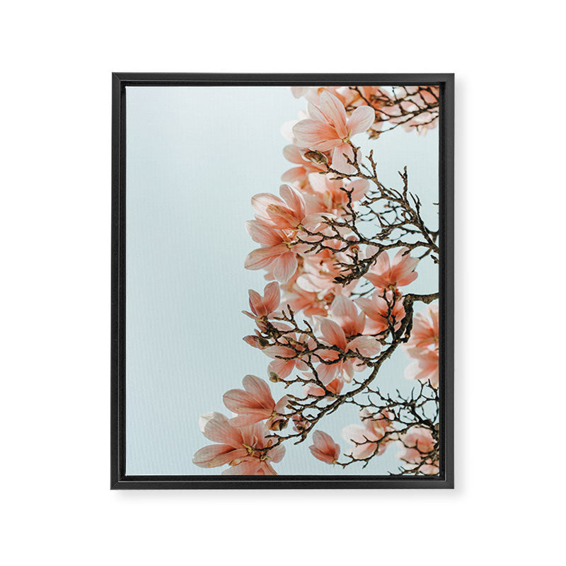 Pink Spring #4 Framed Canvas Print Gallery Image 6
