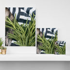 Rosemary Stripe Canvas Print Gallery Image 3
