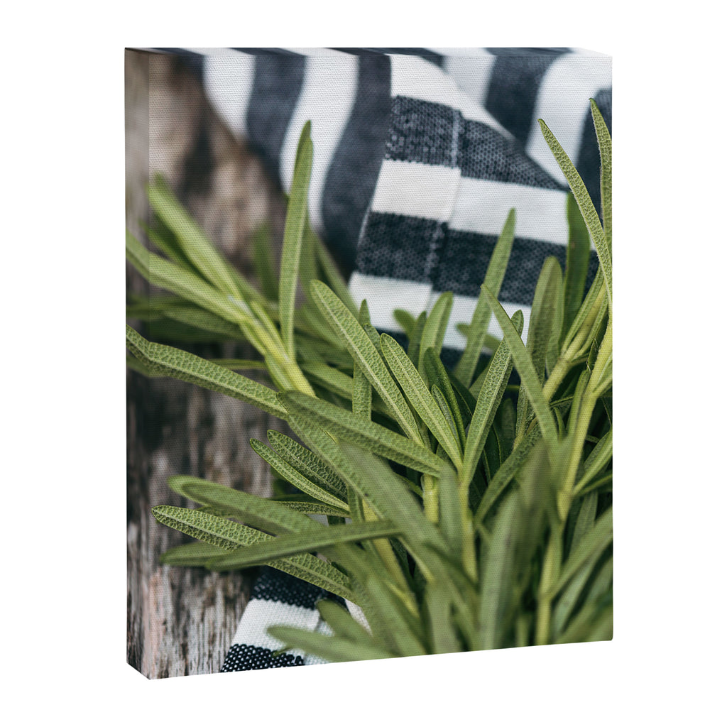 Rosemary Stripe Canvas Print Gallery Image 6