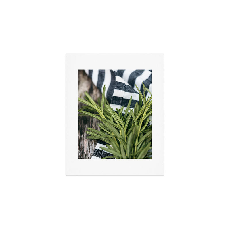 Rosemary Stripe Art Print Gallery Image 1