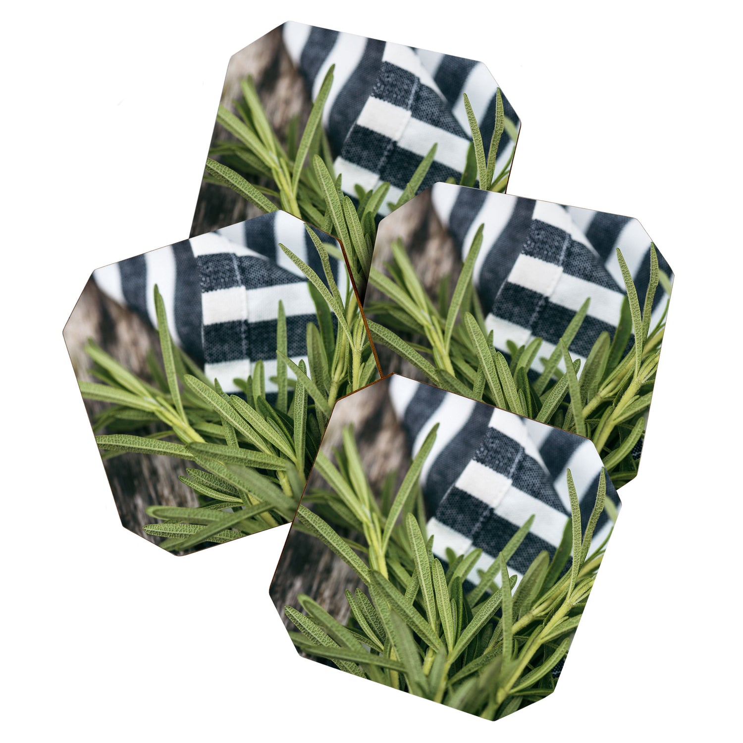 Rosemary Stripe Coaster Gallery Image 1