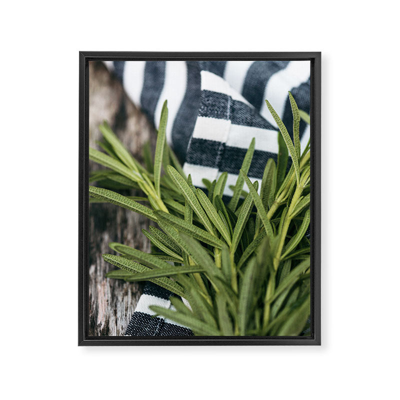 Rosemary Stripe Framed Canvas Print Gallery Image 6