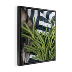 Rosemary Stripe Framed Canvas Print Gallery Image 2