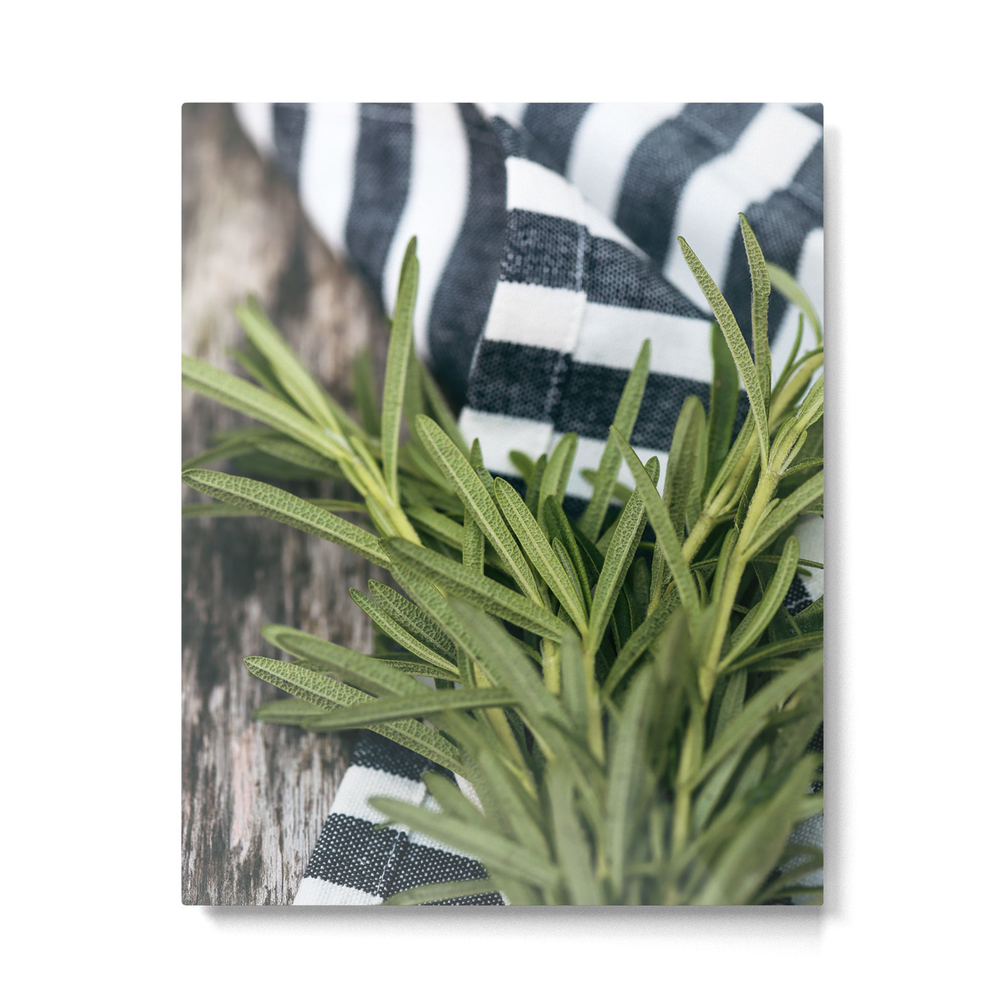 Rosemary Stripe Metal Print Gallery Image 4