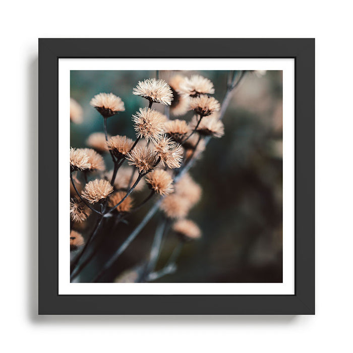 Seeds Of Change #1 Framed Art Print Gallery Image 1