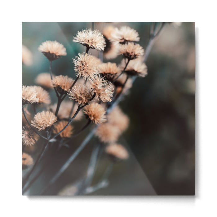 Seeds Of Change #1 Metal Print Gallery Image 1