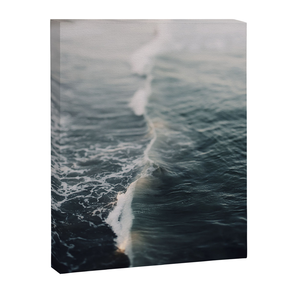Song of the Season Canvas Print Gallery Image 6