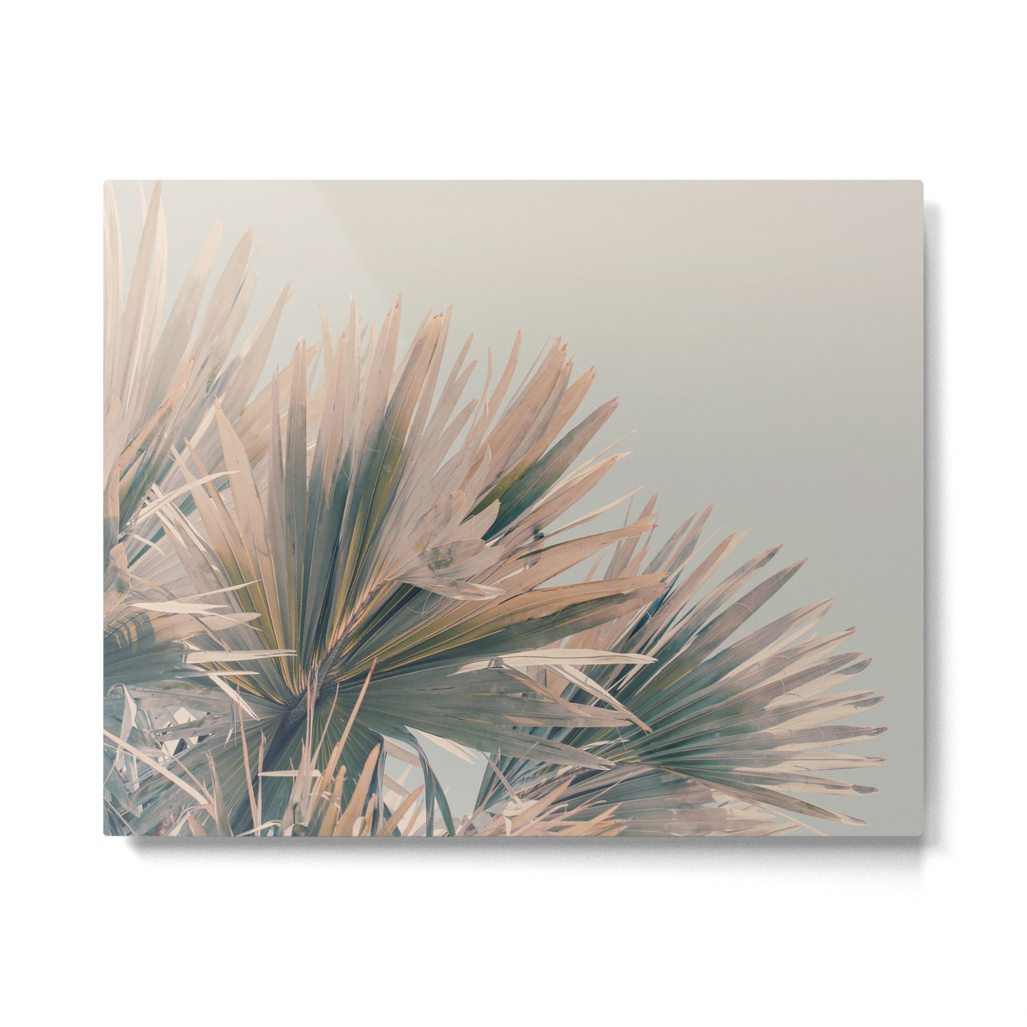 Stretch Metal Print Gallery Image 4
