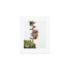 Summer Succulent #1 Art Print Gallery Image 1