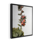 Summer Succulent #1 Framed Canvas Print Gallery Image 2