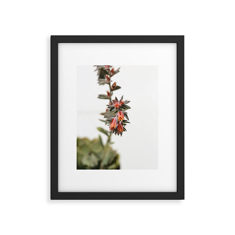 Summer Succulent #1 Framed Art Print Gallery Image 5