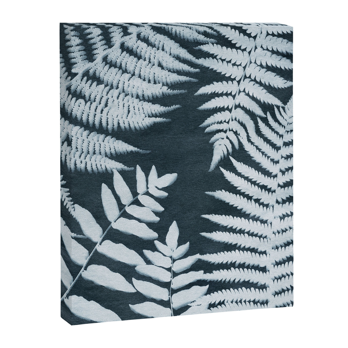 Sun Print Fern #1 Canvas Print Gallery Image 6