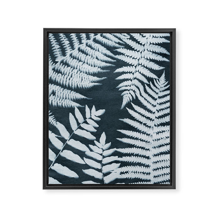 Sun Print Fern #1 Framed Canvas Print Gallery Image 1