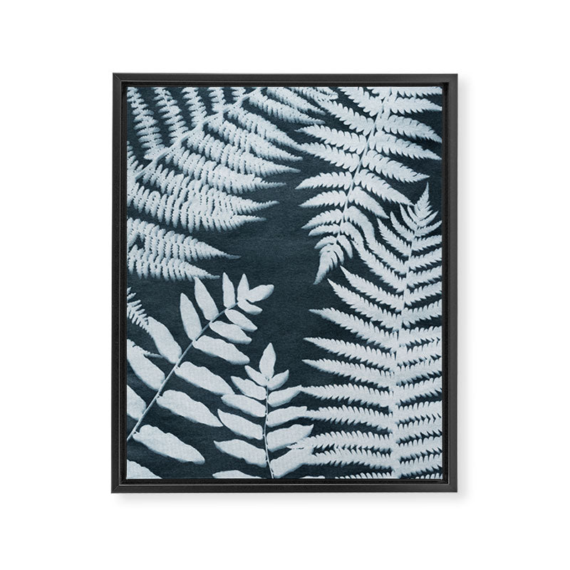 Sun Print Fern #1 Framed Canvas Print Gallery Image 6
