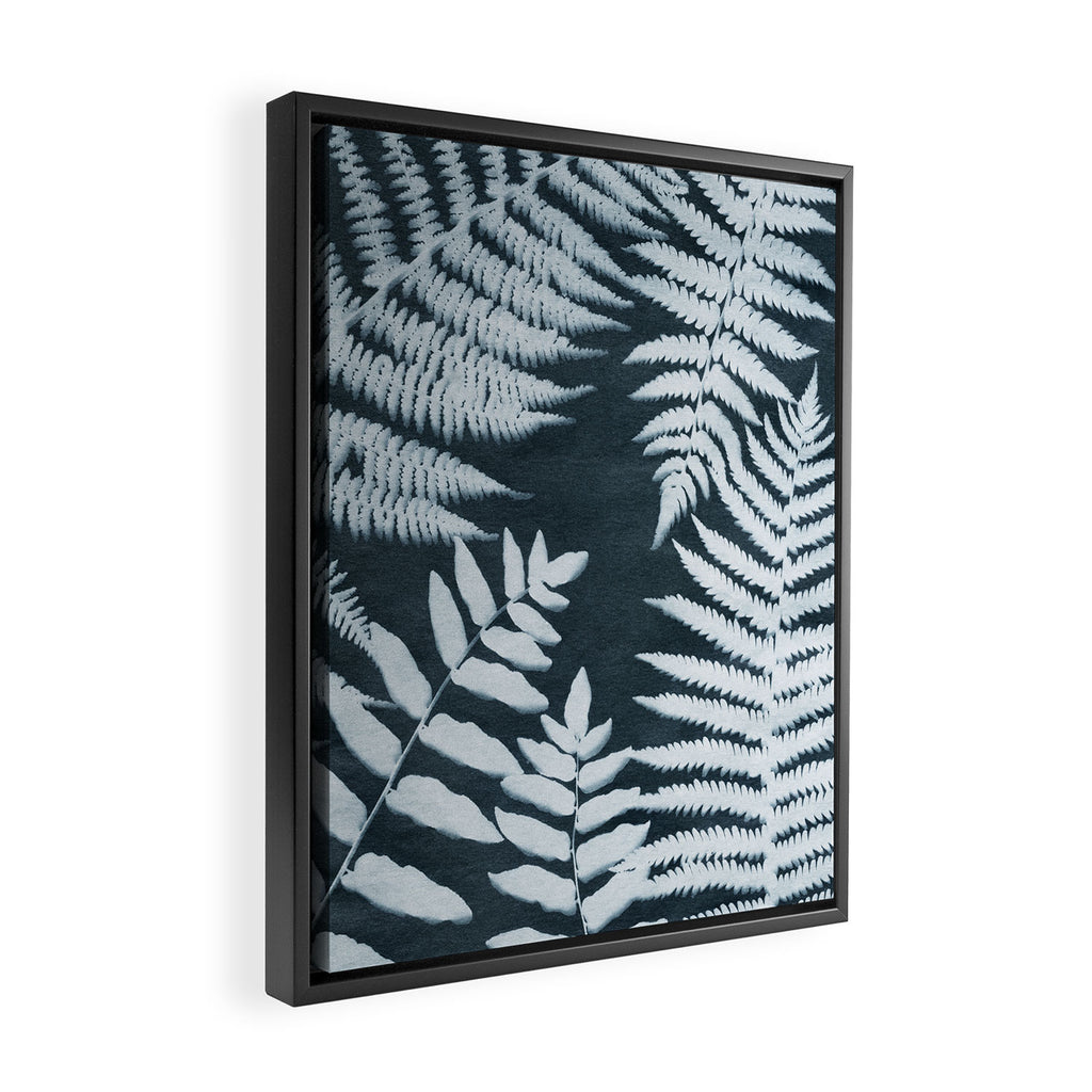 Sun Print Fern #1 Framed Canvas Print Gallery Image 2