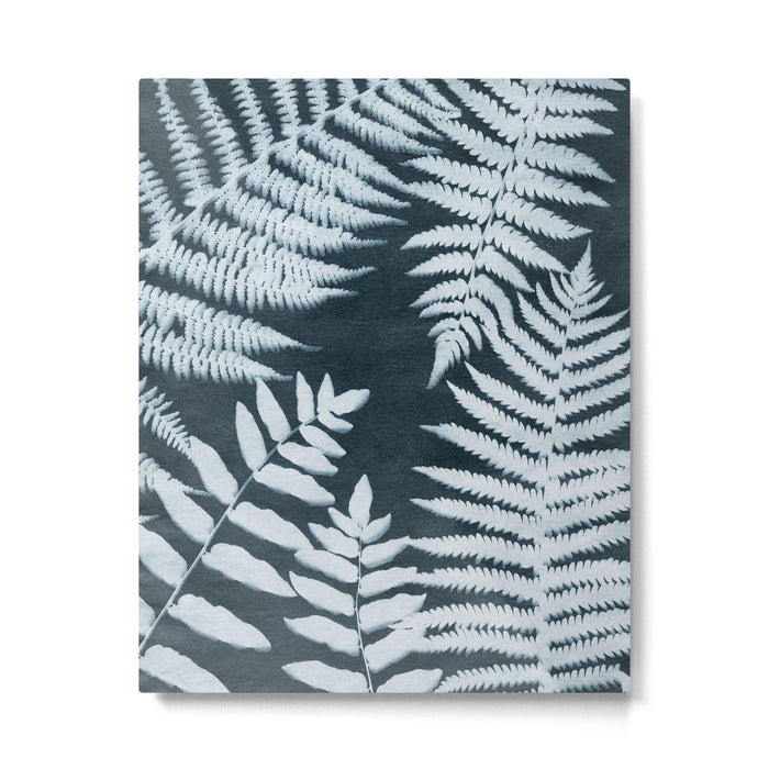 Sun Print Fern #1 Metal Print Gallery Image 1