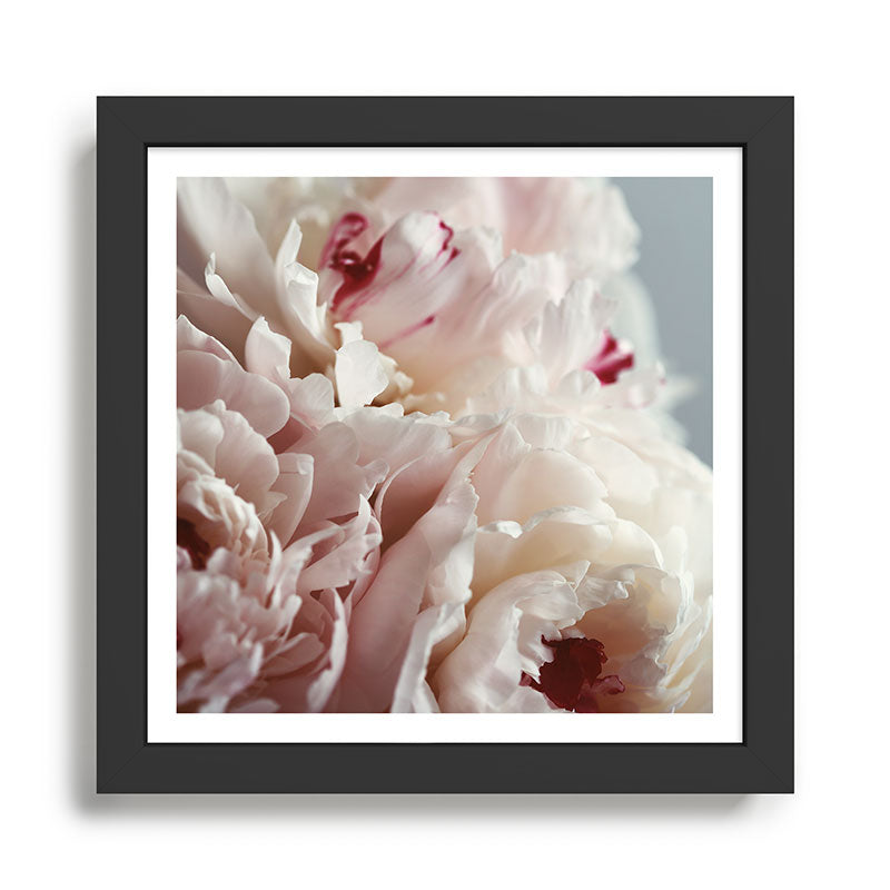 The Optimist Framed Art Print Gallery Image 1