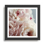 The Optimist Framed Art Print Gallery Image 1