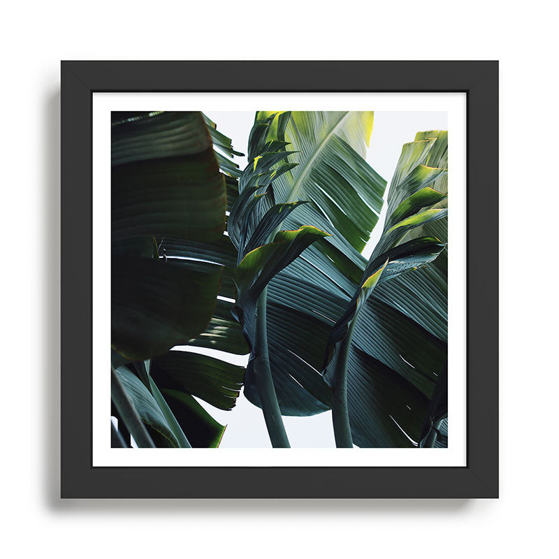 Touched By Light Framed Art Print Gallery Image 1