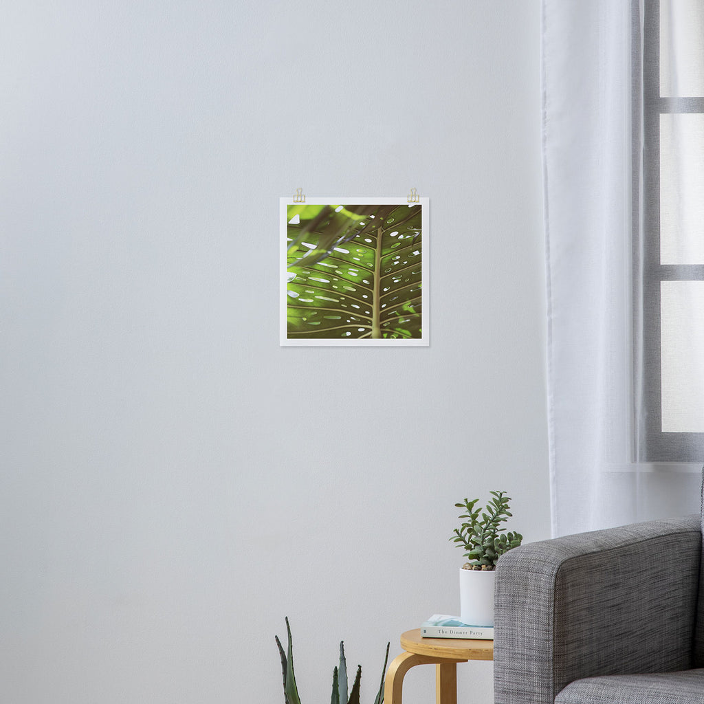 Tropic Light Art Print Gallery Image 3