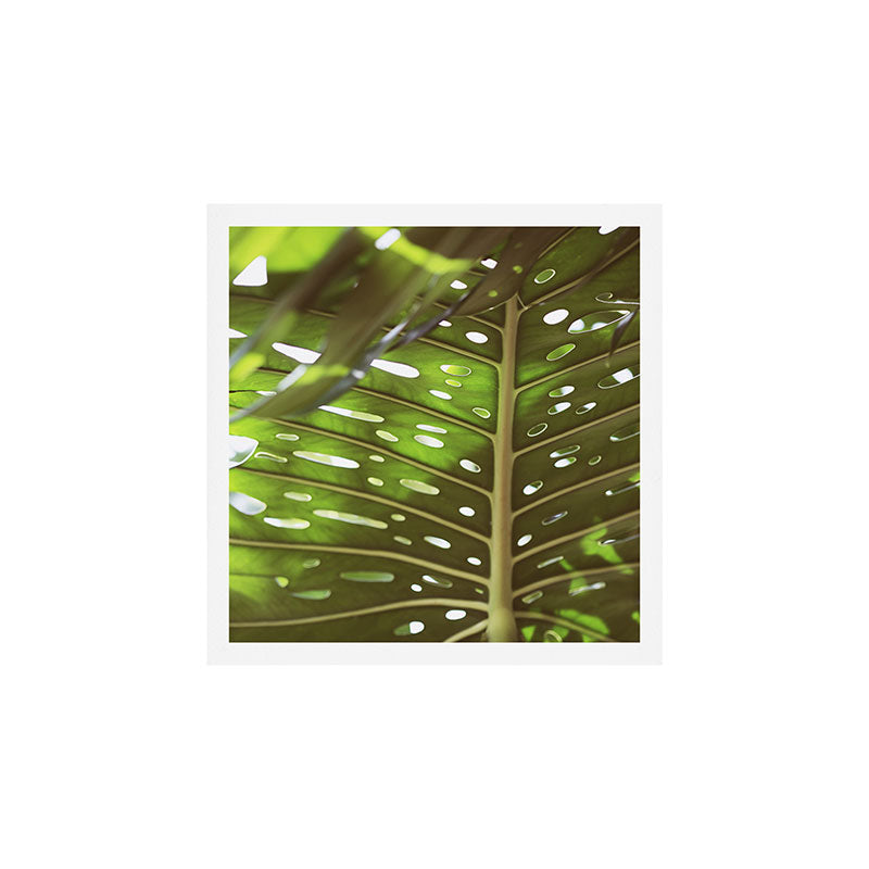 Tropic Light Art Print Gallery Image 1