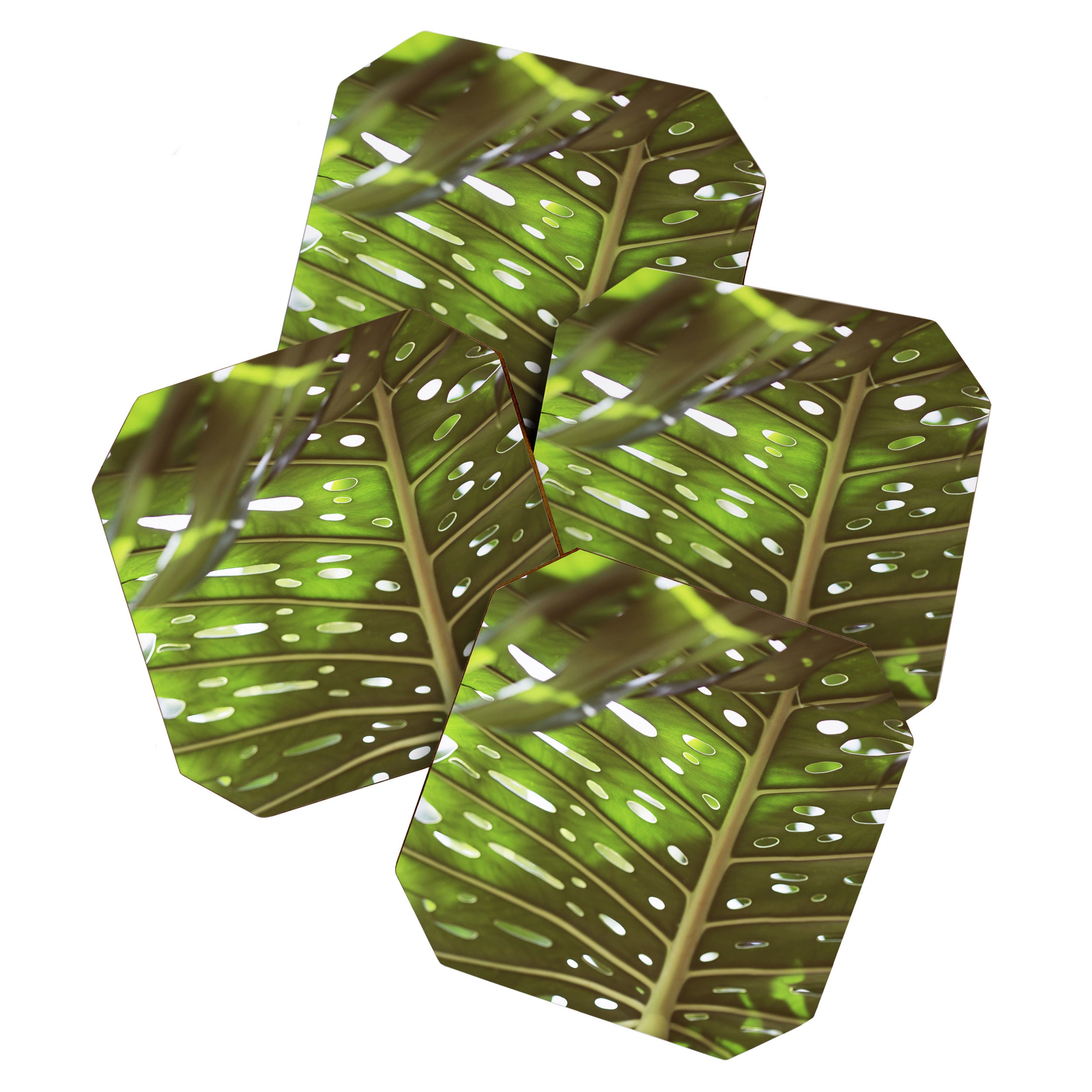 Tropic Light Coaster Gallery Image 1
