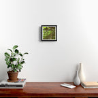 Tropic Light Framed Art Print Gallery Image 2