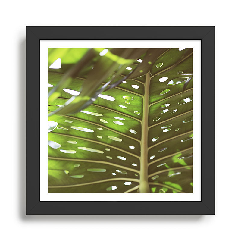 Tropic Light Framed Art Print Gallery Image 1