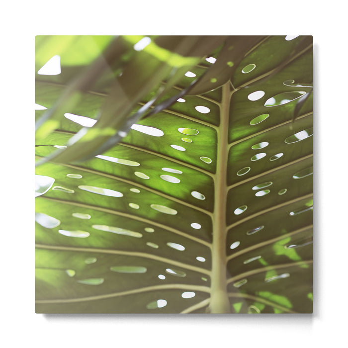 Tropic Light Metal Print Gallery Image 1