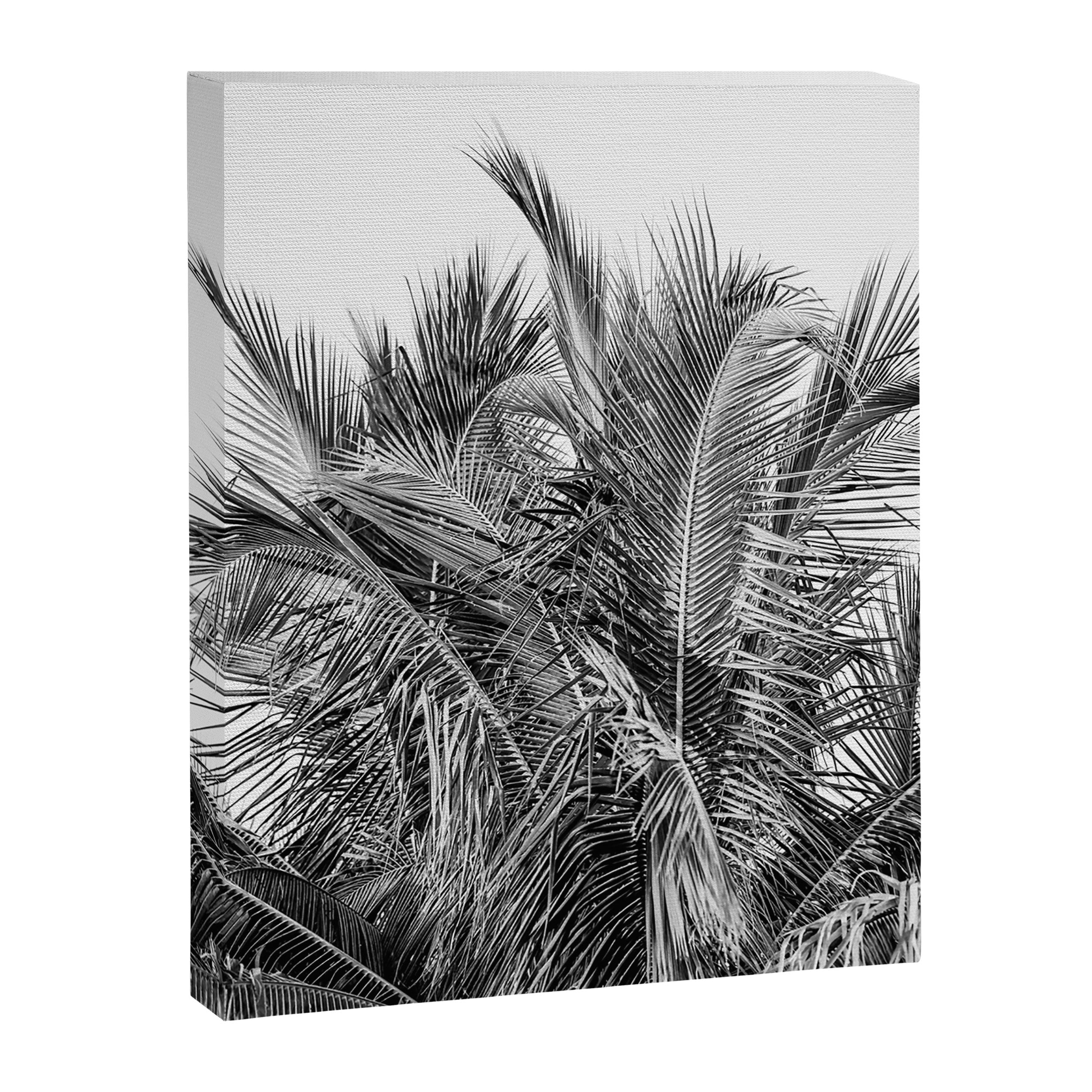 Tropical Black And White Photograph - No 13 Canvas Print Gallery Image 6