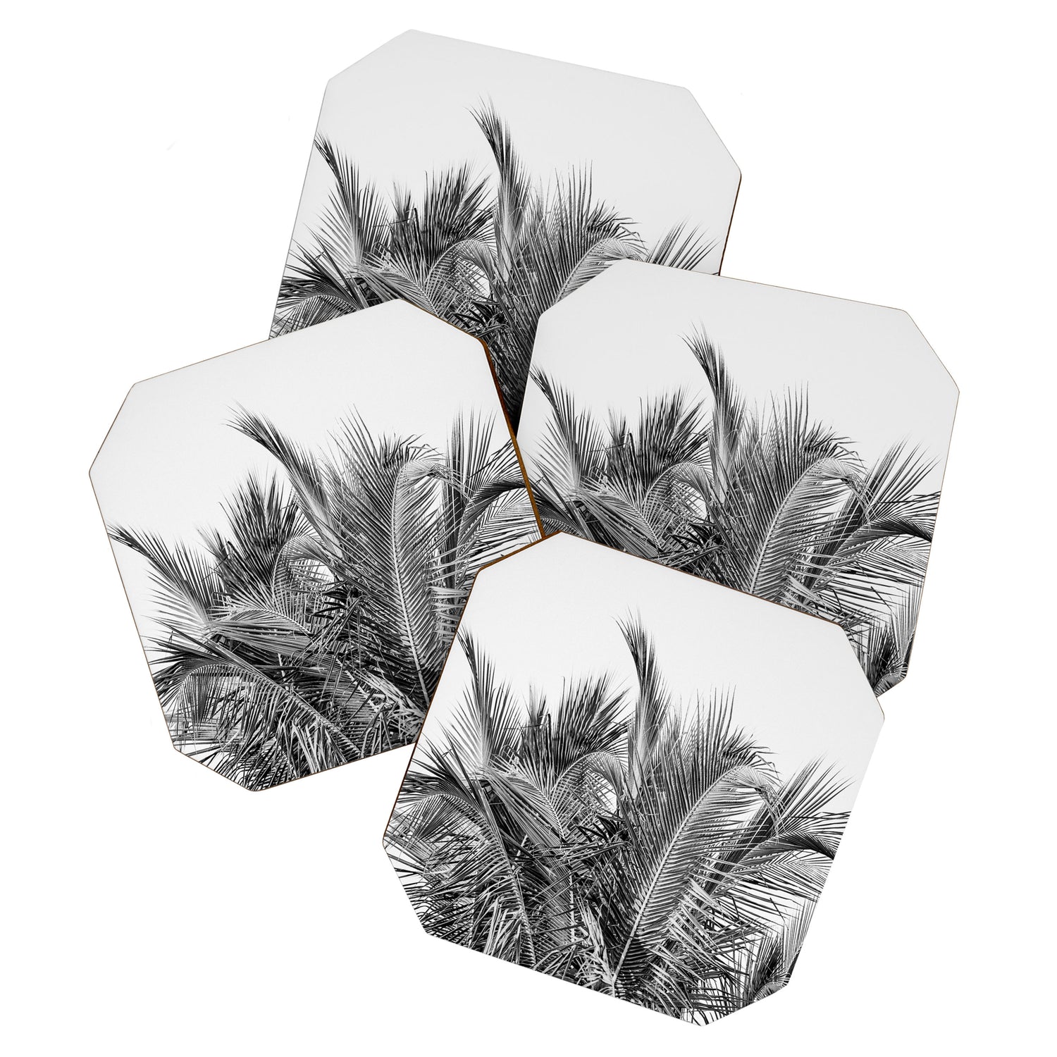 Tropical Black And White Photograph - No 13 Coaster Gallery Image 1