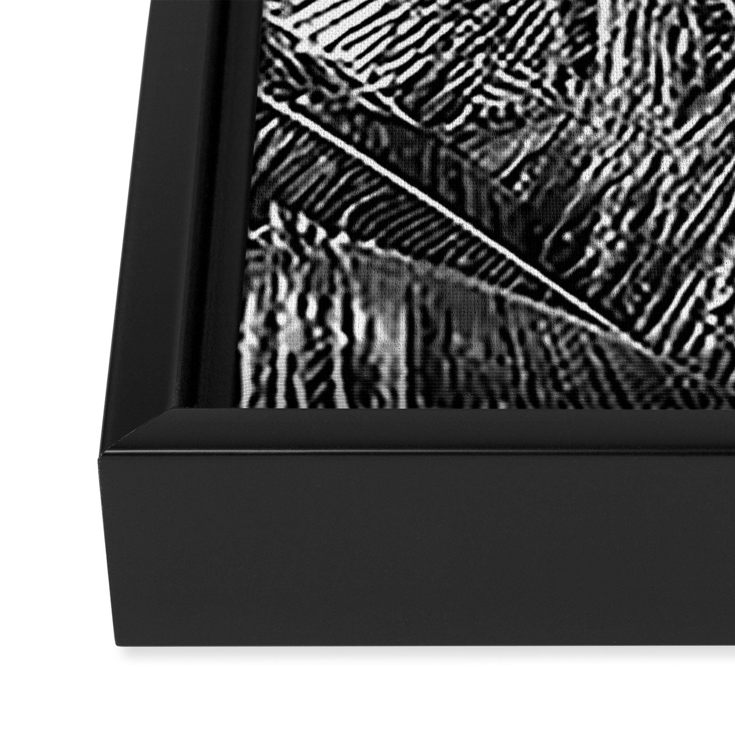 Tropical Black And White Photograph - No 13 Framed Canvas Print Gallery Image 3