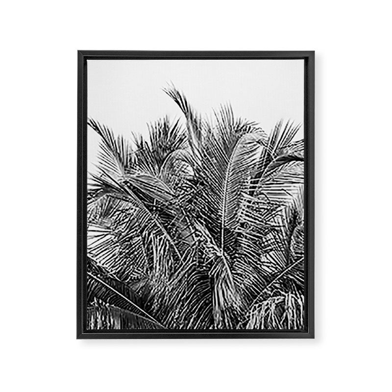 Tropical Black And White Photograph - No 13 Framed Canvas Print Gallery Image 6