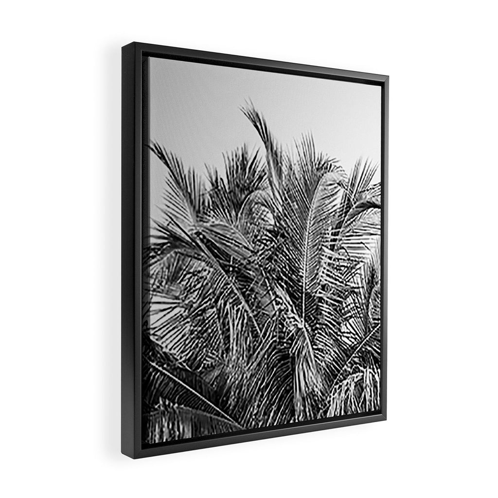 Tropical Black And White Photograph - No 13 Framed Canvas Print Gallery Image 2