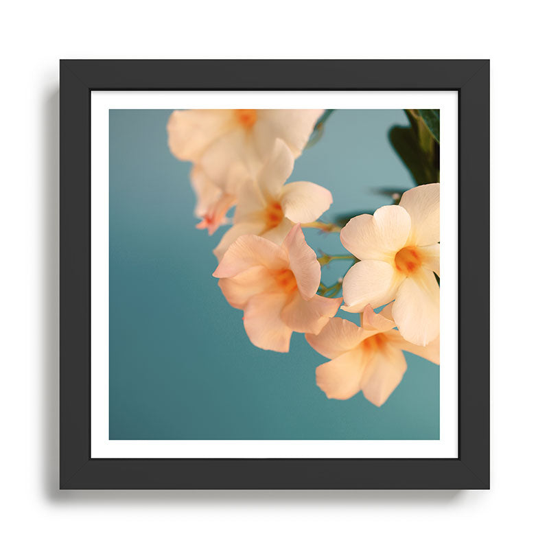 Tropicana #1 Framed Art Print Gallery Image 1