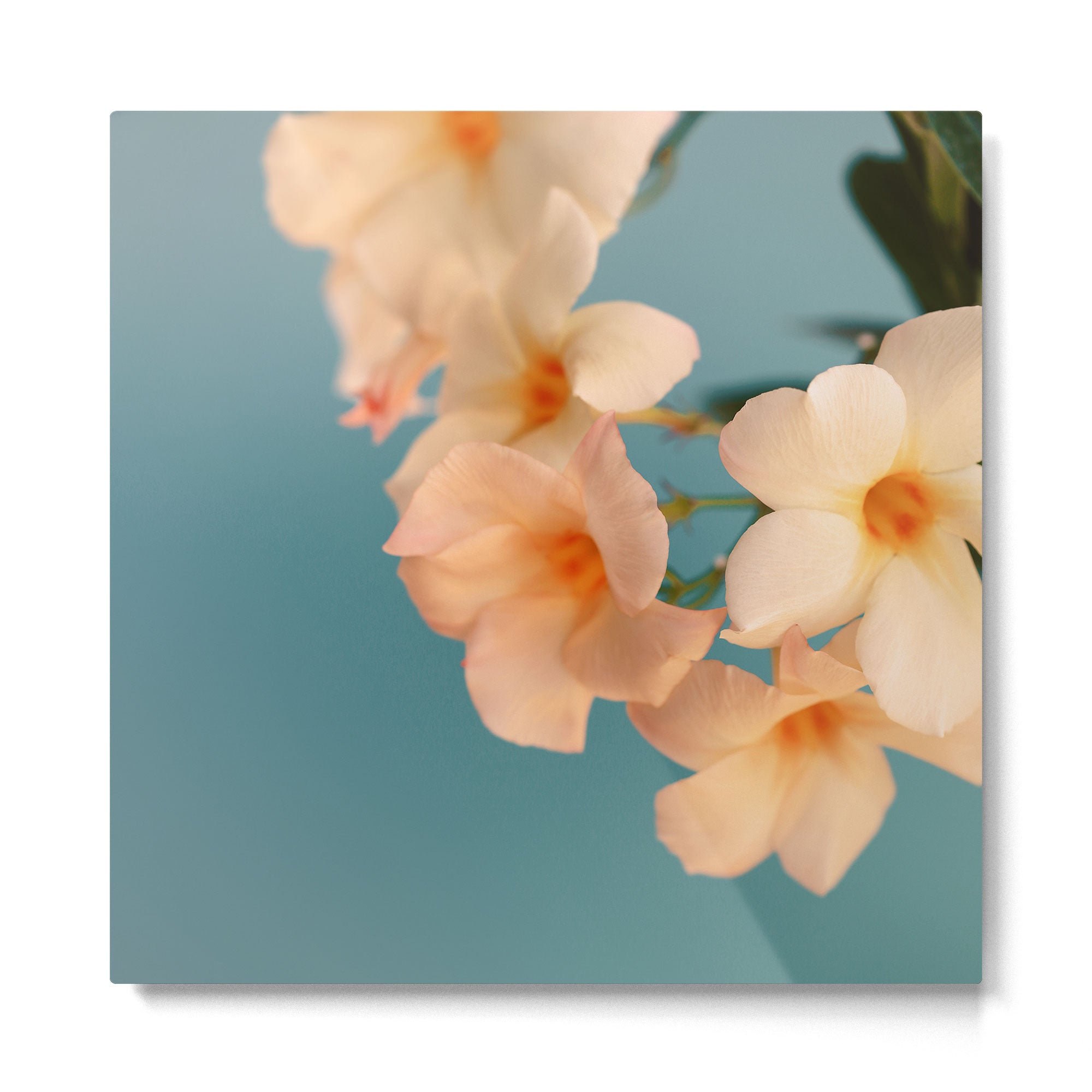 Tropicana #1 Metal Print Gallery Image 2