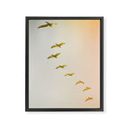 Updraft #2 Framed Canvas Print Gallery Image 6
