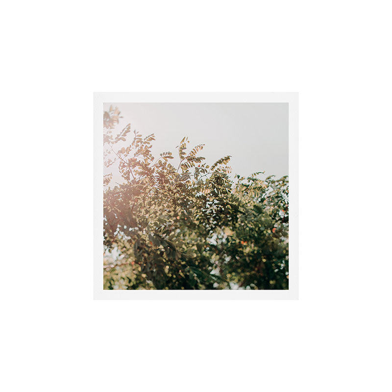 Whisperings Art Print Gallery Image 1